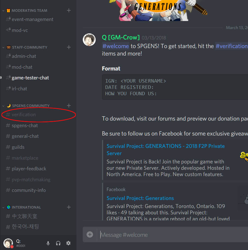 No Discord Account Step 4