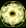 Card gold black level4 small earth magic.png