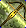 Card gold black level3 small earth bow.png