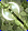 Card gold black level6 small earth axe.png