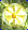 Card gold black level5 small earth shield.png