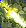 Card gold black level6 small earth sword.png