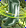 Card gold black level5 small earth boots.png
