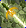 Card gold black level5 small earth sword.png