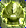 Card gold black level6 small earth armor.png