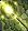 Card gold black level3 small earth wand.png