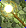 Card gold black level6 small earth wand.png