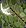 Card gold black level2 small earth axe.png