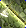 Card gold black level3 small earth axe.png