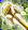 Card gold black level7 small earth wand.png