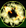 Card gold black level5 small earth magic.png